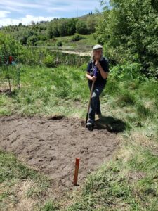 Planting the commemorative tree