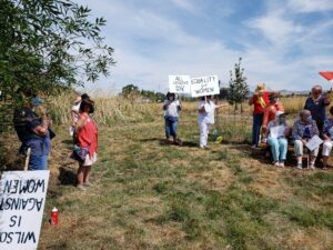 LWV Klamath bench and trees 